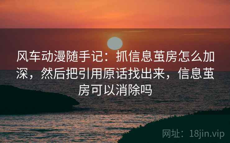 风车动漫随手记：抓信息茧房怎么加深，然后把引用原话找出来，信息茧房可以消除吗